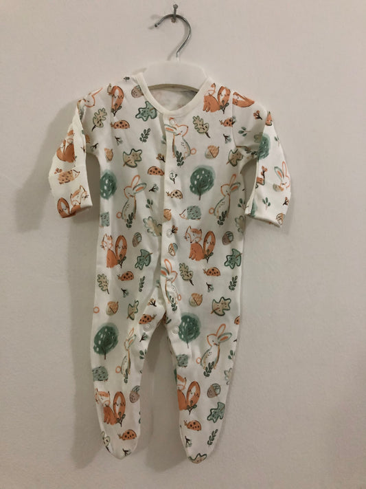 Beautiful Garden Sleepsuit